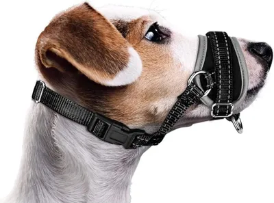 Produktbild von Weicher Nylonmaulkorb für Hunde - Verhindert Beißen und Bellen - Verstellbarer Hundemaulschutz - Verhaltenstraining - Langlebiger Maulkorb