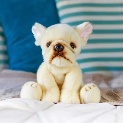 Image de Bouledogue français chien Animigos peluche