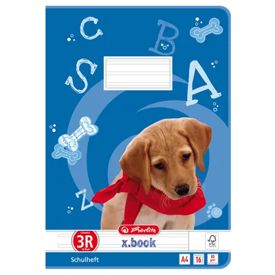 Produktbild von Heft liniert 16 Blatt DIN A4, Lineatur 03