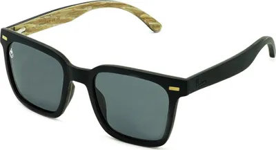 Image de PHIERES Phell Awaits Gray Polarized .
