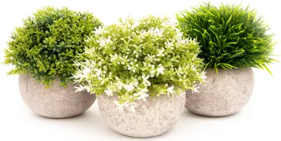 Produktbild von Künstliche Pflanzen im Topf 3er Set Wohnzimmer Deko modern Kunstpflanze Blumen