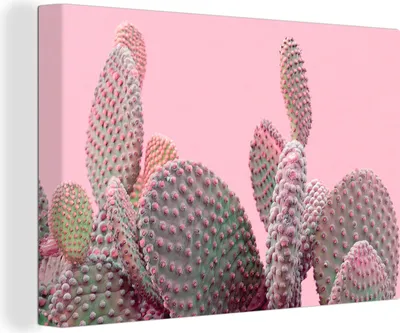 Obrázek produktu pro OneMillionCanvasses® Malba na plátně Nástěnná malba na plátně - Kaktusy - Rostliny - Léto - 150x100cm