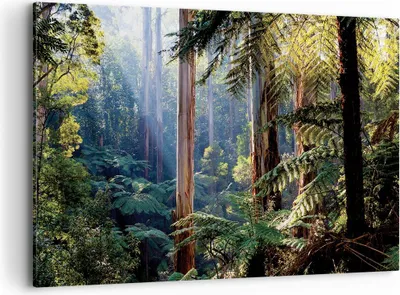 Produktbild von Bild auf Leinwand - Leinwandbild - Einteilig - Morgendämmerung Bäume Wald - 120x80cm - Wand Bild - Wanddeko - Wandbilder - Leinwanddruck - Bilder - Wanddekoration - Leinwand bilder - AA120x80-4403