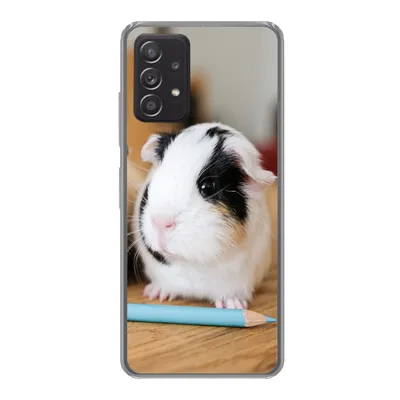 Produktbild von MuchoWow® Handyhülle Schutzhülle Hülle für Samsung galaxy a73 Entzückende Baby-Meerschweinchen Silikon Softcase Handy Hülle - Handyhülle