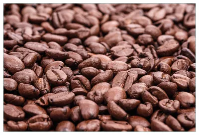 Produktbild von Wallario Küchenrückwand aus Glas, Größe: 90 x 60 cm, Motiv: Frisch geröstete Kaffeebohnen | Spritzschutz | abwischbar | pflegeleicht | in
