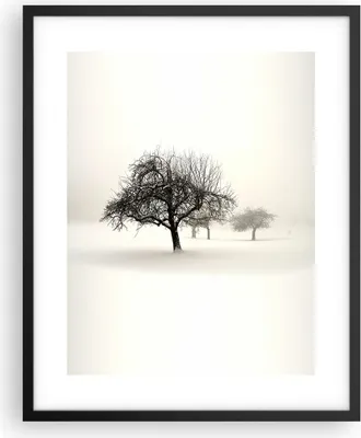 Produktbild von Gerahmtes Poster - Schwarzer Rahmen - Bäume Schnee Nebel - 40x50 cm - Wand Bild - Wanddeko - Wandbilder - Kunstposter - Wandposter - Bilderrahmen - Bilder - Kunstdruck - Wandbild - P2BPA40x50-4136