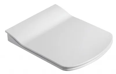 A white toilet seat is shown from a diagonal angle against a white background.