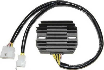 Productafbeelding van ElectroSport laadregelaar ESR 310 voor XS 1100 S - 70 kW