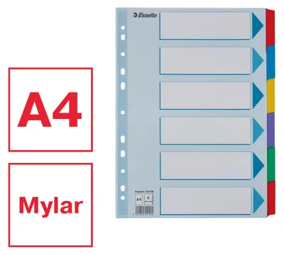 Image de ESSELTE Intercalaire en carton vierge A4 6 pièces multicolore (80100168)