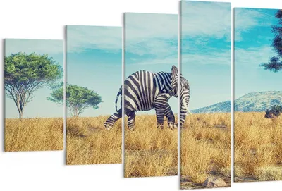 Produktbild von Bild auf Leinwand - Leinwandbild - 5 Teile - Surreal Elefant Rippen - 150x100cm - Wand Bild - Wanddeko - Wandbilder - Leinwanddruck - Bilder - Wanddekoration - Leinwand bilder - EG150x100-4717