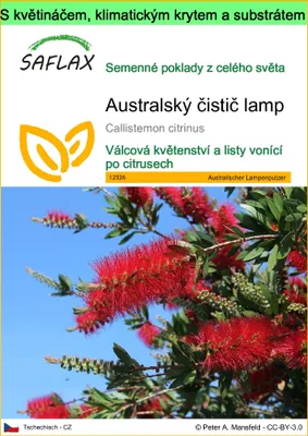 Obrázek produktu pro SAFLAX Garden to go - Australský čistič lamp - Callistemon citrinus - 400 Semena - S květináčem, klimatickou poklicí a pěstebním substrátem
