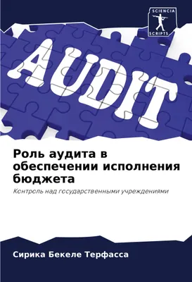 Produktbild von Rol' audita w obespechenii ispolneniq büdzheta