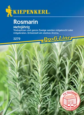 Produktbild von Rosmarin, mehrjährig | Rosmarinsamen von Kiepenkerl [MHD 01/2024]