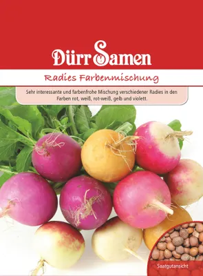 Produktbild von Radies Farbenmischung | Radieschensamen von Dürr Samen