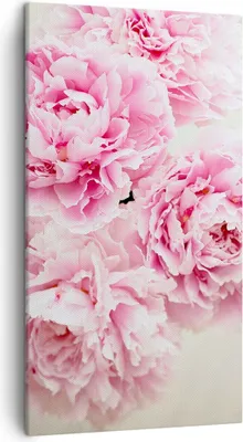 Produktbild von Bild auf Leinwand - Leinwandbild - Einteilig - Pfingstrosen Blumenstrauß Blumen - 45x80cm - Wand Bild - Wanddeko - Wandbilder - Leinwanddruck - Bilder - Wanddekoration - Leinwand bilder - PA45x80-4961