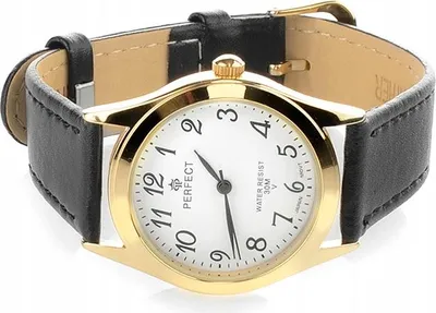 Obrázek produktu pro Pánské quartzové hodinky s velkými číslicemi classic 228