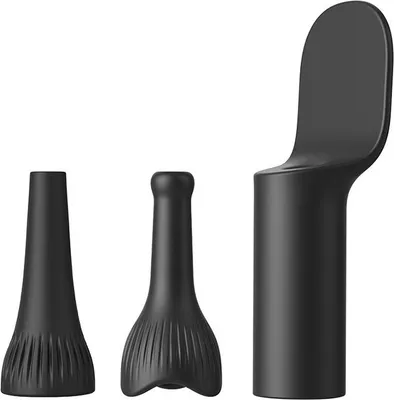 Image de Kit of tips for Bebird R1/M9s/T15/D3 Pro otoscopes