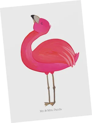 Produktbild von Mr. & Mrs. Panda Postkarte Flamingo Stolz - Weiß - Geschenk, Grußkarte, Postkarten, bildkarte, Ansichtskarte, Rosa, Mama, glücklich, Ansichtskarten