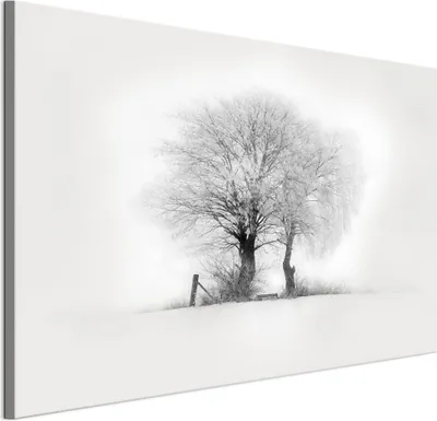 Immagine prodotto di LUMASOUL Quadri su tela 90x60 cm, Motivo invernale 2, Quadri da Parete per Soggiorno e Camera da Letto, 1 pezzo