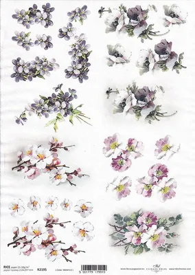 Produktbild von ITD Reispapier Decoupage Bastelpapier Softpapier Serviettentechnik, Obstblüten R2195