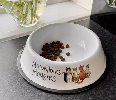 Obrázek produktu pro Miska pro kočku – Alex Clark