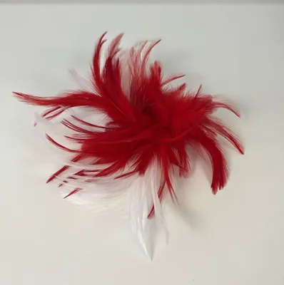 Produktbild von Haarclip mit roten Federn