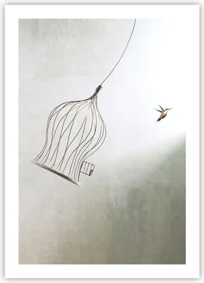Produktbild von Poster - Poster ohne Rahmen - Flug Vogel Käfig - 50x70 cm - Wand Bild - Wanddeko - Wandbilder - Kunstposter - Wandposter - Bilder - Kunstdruck - Wanddekoration - Wandbild - P2XPA50x70-5085