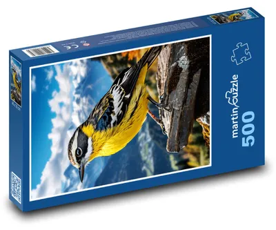 Obrázek produktu pro martinpuzzle - Puzzle 500 - Vrabec