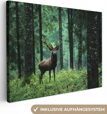 Produktbild von MuchoWow® - Leinwandbilder - Hirsche - Wald - Bäume - Tiere - Natur, Wandbild, Wanddeko Bilder Wohnzimmer, 120x90 cm