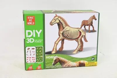 Zdjęcie produktu dla Model anatomiczny zwierzęta 2002265 22657