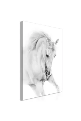 Obrázek produktu pro Bimago Obraz Bílý kůň 40 cm x 60 cm