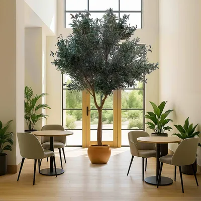 Produktbild von Künstlicher Olivenbaum 260 m - Oviala Oiko