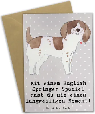 Produktbild von Mr. & Mrs. Panda valentinstagskarte English Springer Spaniel Spaß - Grau Pastell - Geschenk, hochzeitskarten, Hunderasse, Hunderassen Vielfalt, Outdoor-Hunde, Grußkarte