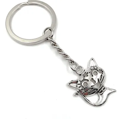 Produktbild von Onwomania Katze witzig Haustier Schlüsselanhänger Metall Glücksbringer in Alu Geschenkbox, ideal zum Verschenken