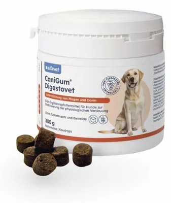 Produktbild von CaniGum® Digestovet 300 g - MHD:12/2027