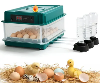 Produktbild von Brutschrank 24-36 Eier, automatische Wwendung, Feuchtigkeitsanzeige, für Hobbybauern