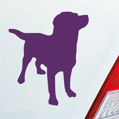 Produktbild von Auto Aufkleber Labrador Labbi Retriever Dog Hund Dog Tier 10x12 cm Lila Sticker Heckscheibenaufkleber