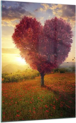 Produktbild von Bilder auf glas - Einteilig - Baum Wiese Blume - 70x100cm - Glasbilder - Wandbilder - Bilder - zum Aufhängen bereit - Wanddekoration aus Glas - Glas Bilder - Wandbild auf Glas - GPA70x100-3790