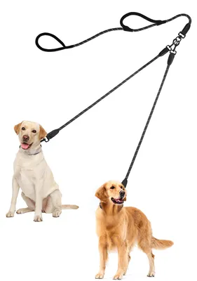 Doppelte Hundeleine, verwicklungsfrei, reflektierend, für mittlere/große Hunde