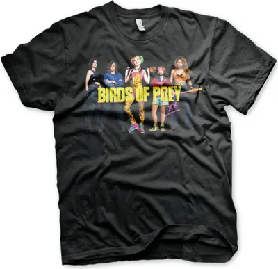 Produktbild von Birds Of Prey T-Shirt - Medium - Black