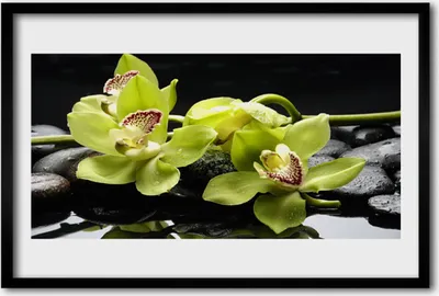 Produktbild von Bild 60x40 MDF-Rahmen Wandkunst Blume Orchidee Pflanze