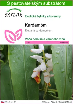 Obrázok produktu pre SAFLAX - kardamóm - Elettaria cardamomum - 20 Semená - S pestovateľským substrátom bez klíčkov