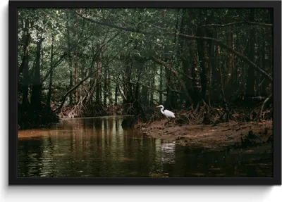 Produktbild von MuchoWow® MuchoWow® Gerahmtes Poster Reiher - Wald - See 60x40 cm - Poster mit zchwarzem Bilderrahmen - Printing - Wanddeko Schlafzimmer