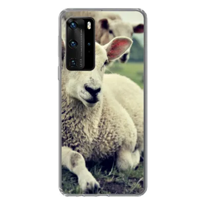 Produktbild von MuchoWow® Handyhülle Schutzhülle Hülle für Huawei P40 Pro Schaf - Lamm - Gras Silikon Softcase Handy Hülle - Schutz