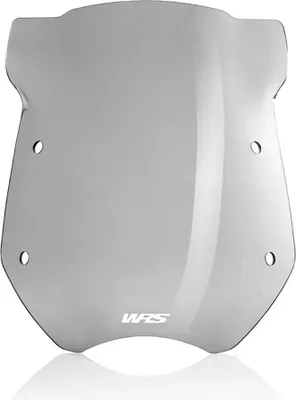 Image de Wscrn R1200R Smoke