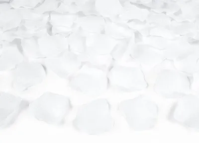 Image de 500 pétales de rose Amour blanc 4cm