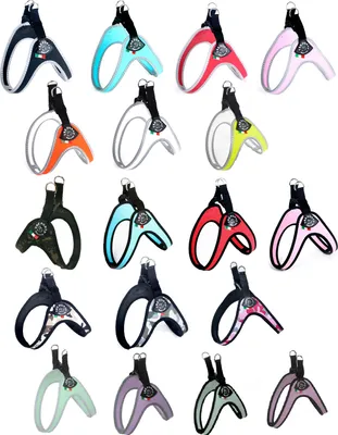 Produktbild von Tre Ponti Geschirr Easy Fit Classic mit Click-Verschluss, Farbe:minze / schwarz, Größe:Gr.1.5 / 30-35cm / bis 4kg