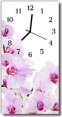 Produktbild von Tulup Glasuhr Wanduhr Küchenuhr Echt-Glas 30x60 Orchideen Lila