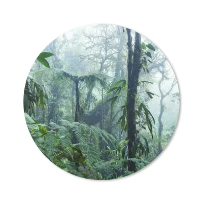 Produktbild von MuchoWow® Mauspad Mousepad Nebliger Regenwald in Costa Rica 20x20 cm - Mousepads - Maus Mat - Pad - Mausunterlage - Schreibtischmatte