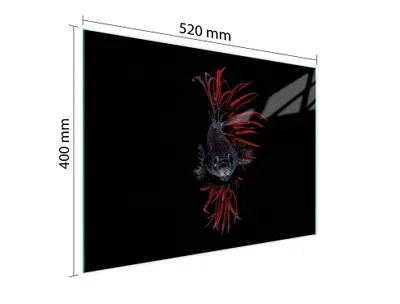 Obrázek produktu pro Skleněné Krájecí Prkénko 52X40 Ryba